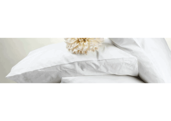 United Textile Supply Feather Pillow