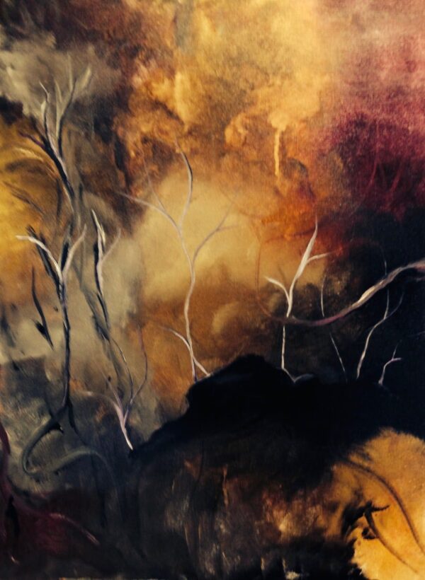 Dark Forest